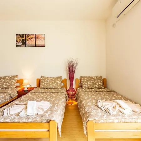 Pensjonat Sunny Sokobanja